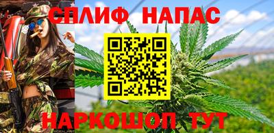 apvp Будённовск