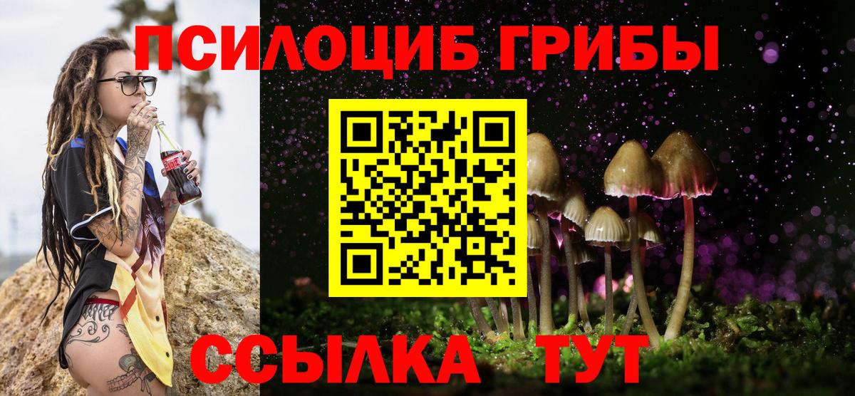 Псилоцибиновые грибы прущие грибы Камышин