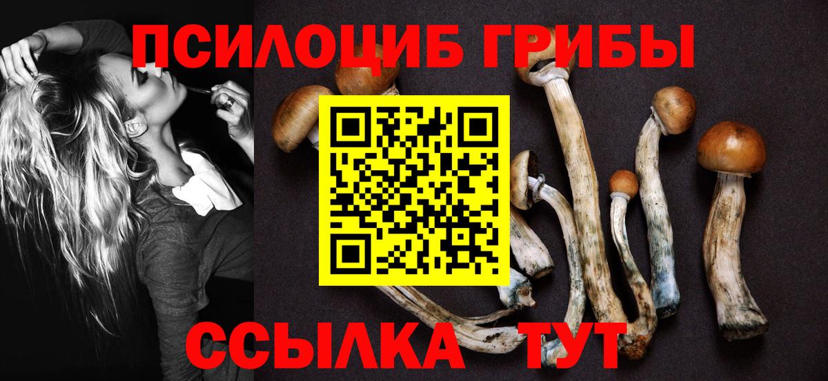 Псилоцибиновые грибы Psilocybe  Галлюциногенные грибы Psilocybe  Вход с VPN  Камышин 
